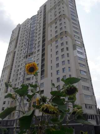 Апартаменты Apartment on Yuvilejnyj avenue Харьков Апартаменты-студио-9